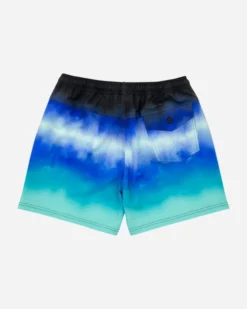 LOST PERIL BEACHSHORT (10800469) -Reef Surf Shop 10800469 TDS 1 93044.1684357671