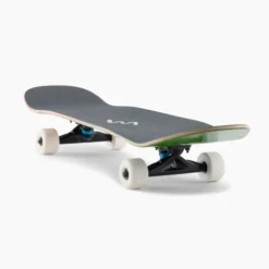 Reef Surf Shop 4 Reef Surf Shop -Reef Surf Shop 121CP UBATVPRC landyachtz atvx perfecto raccoon AD 5943 copy 1800x1800 86029.1637348353