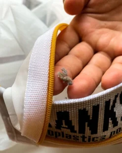 LEUS ECO WASH BAG -Reef Surf Shop leus washbag lint 11411.1673632261